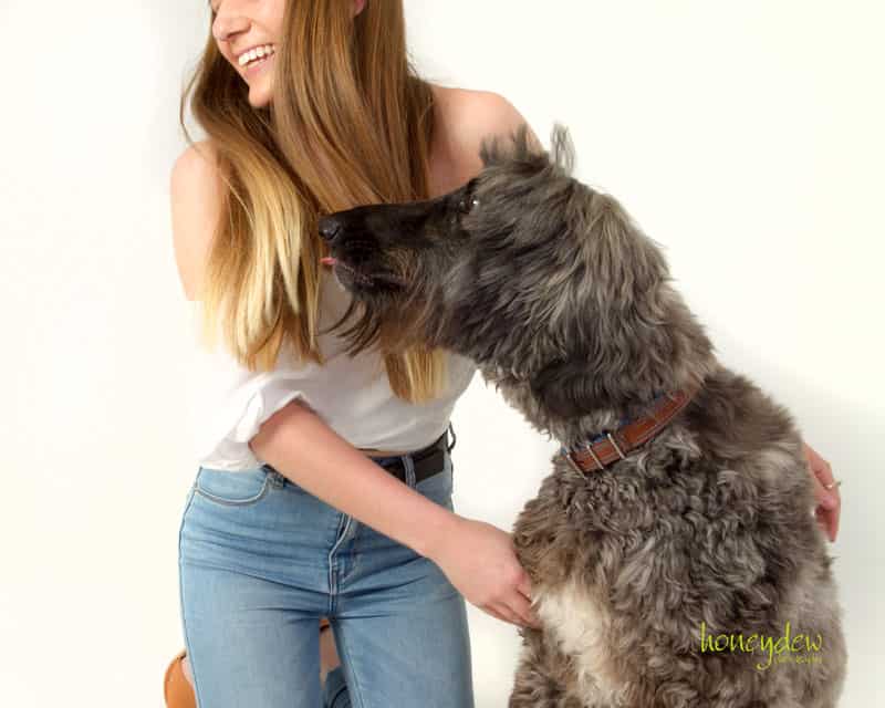 love pets being photographed in sydney