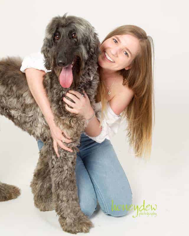 afghan hound loving his Sydney photographer