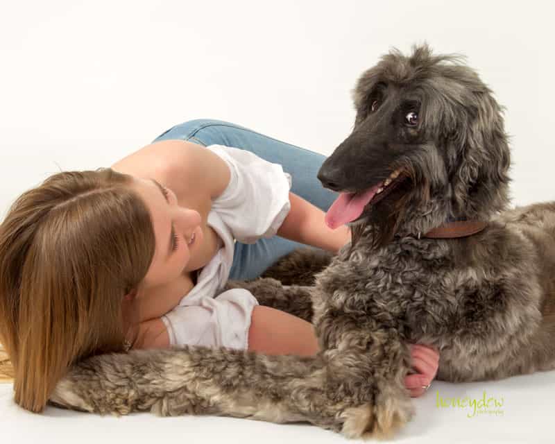 playful hound dog photography