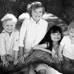 family photography Sydney kids looking out of a tree